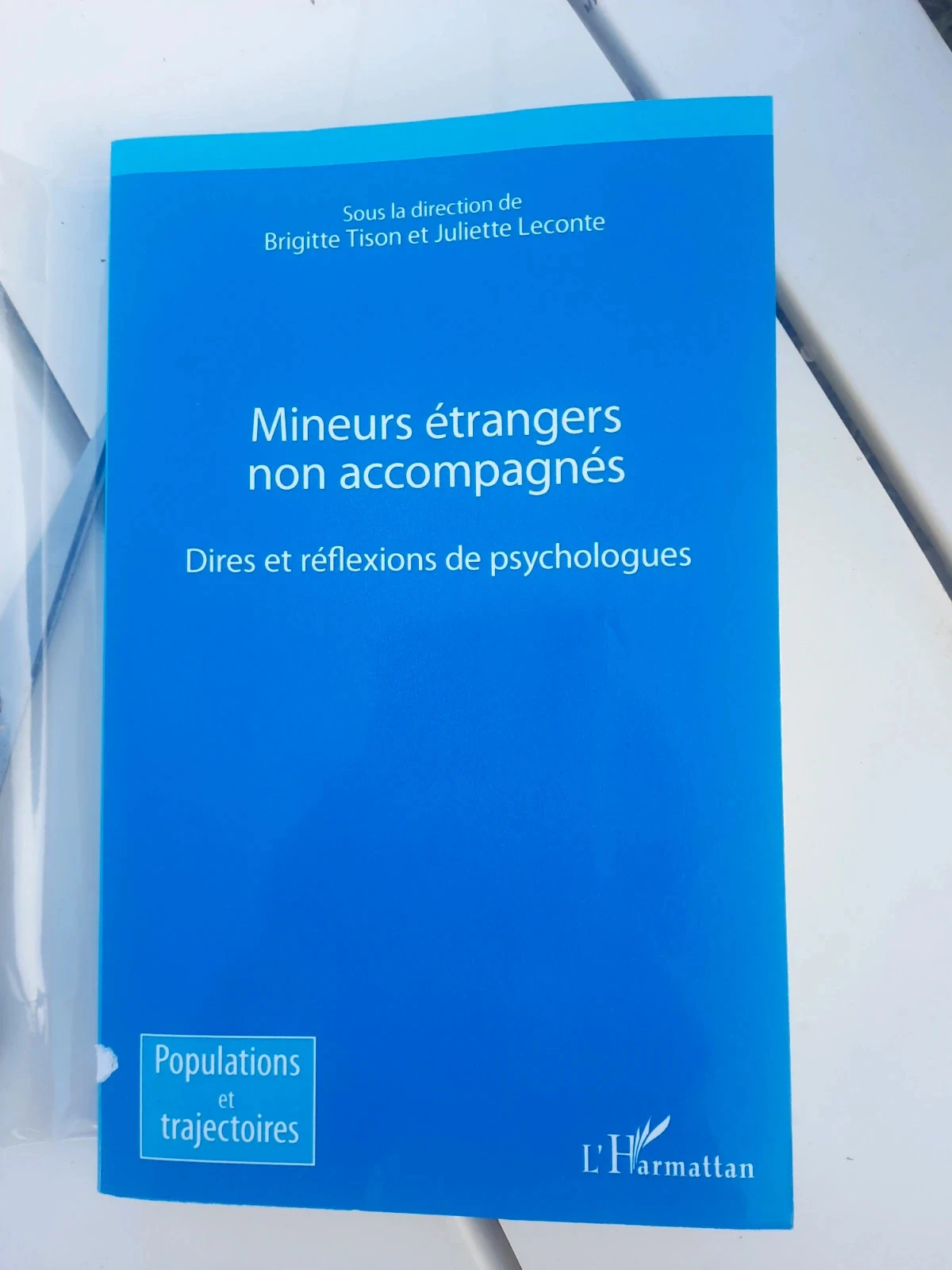 Mineurs etrangers non accompagnés etrangers brigitte tison